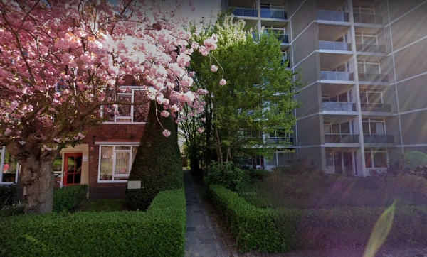 Oude huizen, nieuwe huizen